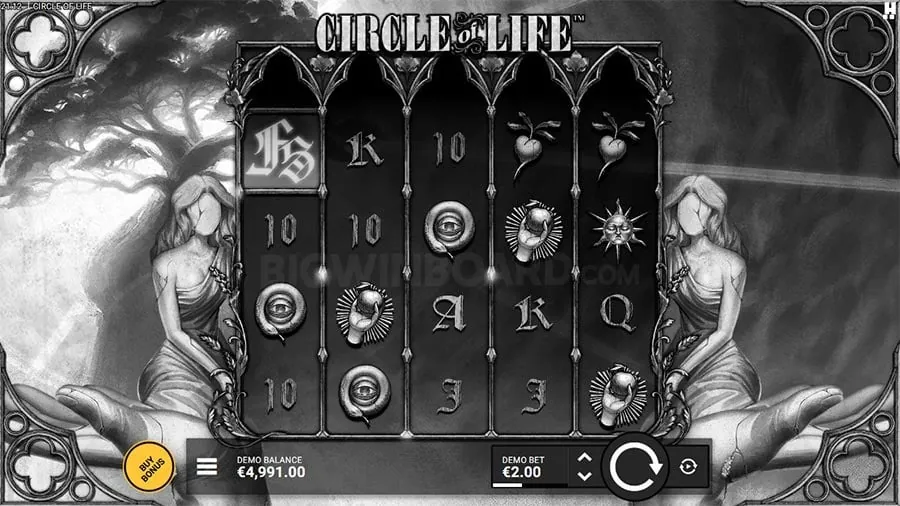 Casino Bonus Guide